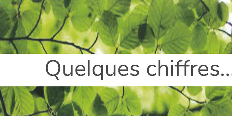 chiffres pendant le confinement